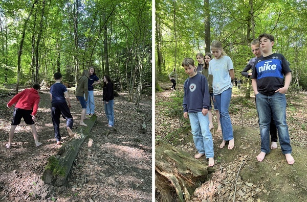 Mit allen Sinnen im Wald - ein Ausflug der Klasse 7a